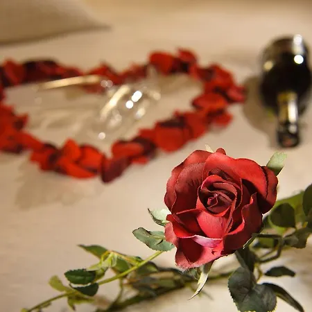 Апартаменты Touring Cheminee *