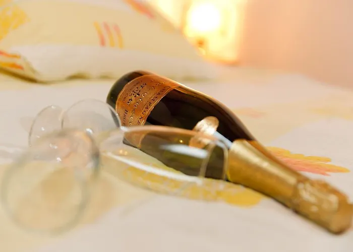 Lejlighed Touring Cheminee Grächen